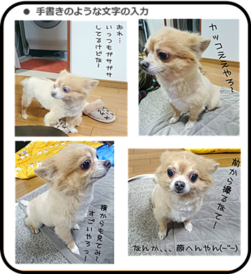 ペットブログ 大人気 アフィリエイト・泉佐野 パソコン教室