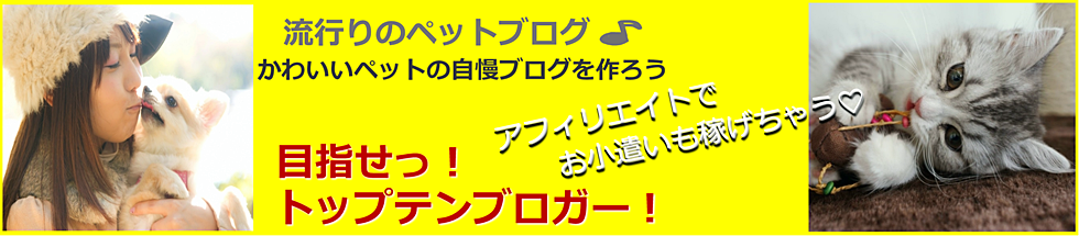 ペットブログ 大人気 アフィリエイト・泉佐野 パソコン教室