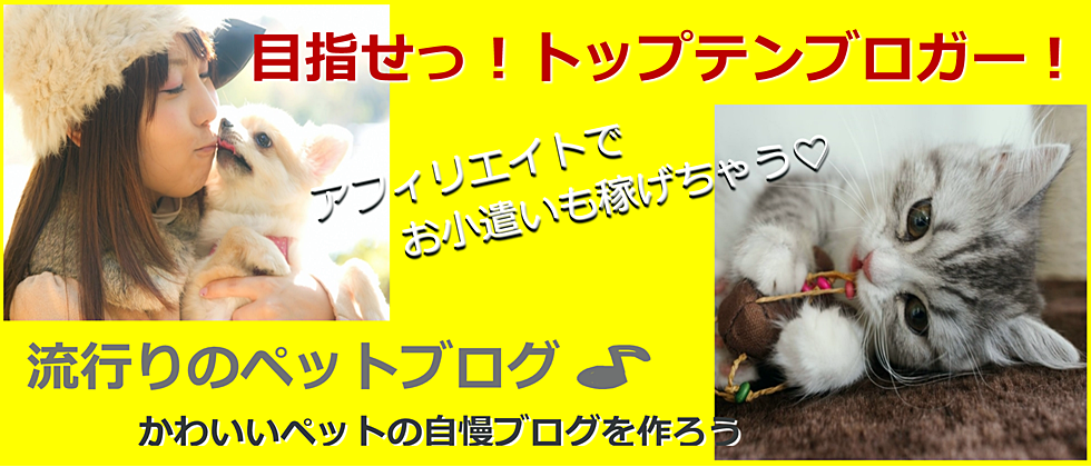 ペットブログ 大人気 アフィリエイト・泉佐野 パソコン教室